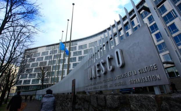 Daem puconino recibe reconocimiento por la Unesco